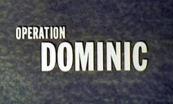 Dominic video