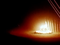 Gerboise Verte video