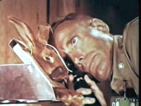 Chorioretinal Effects video